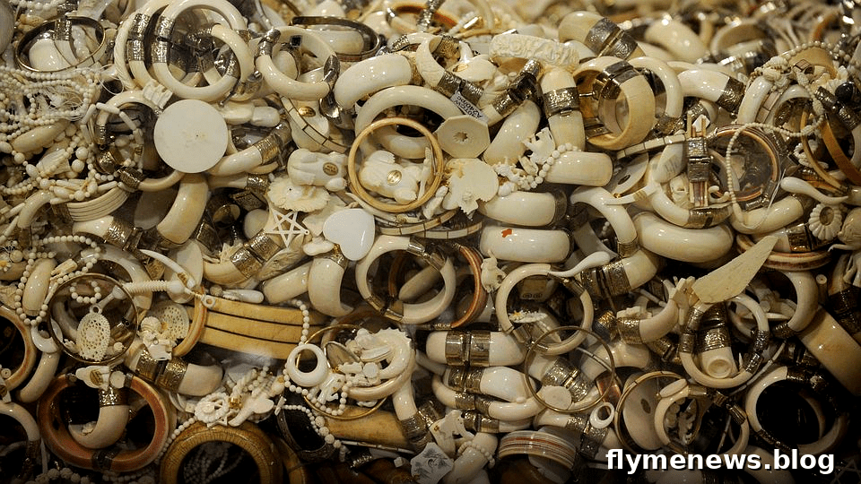 Ivory Thailand